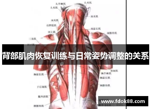 背部肌肉恢复训练与日常姿势调整的关系