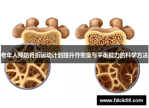 老年人预防骨折运动计划提升骨密度与平衡能力的科学方法